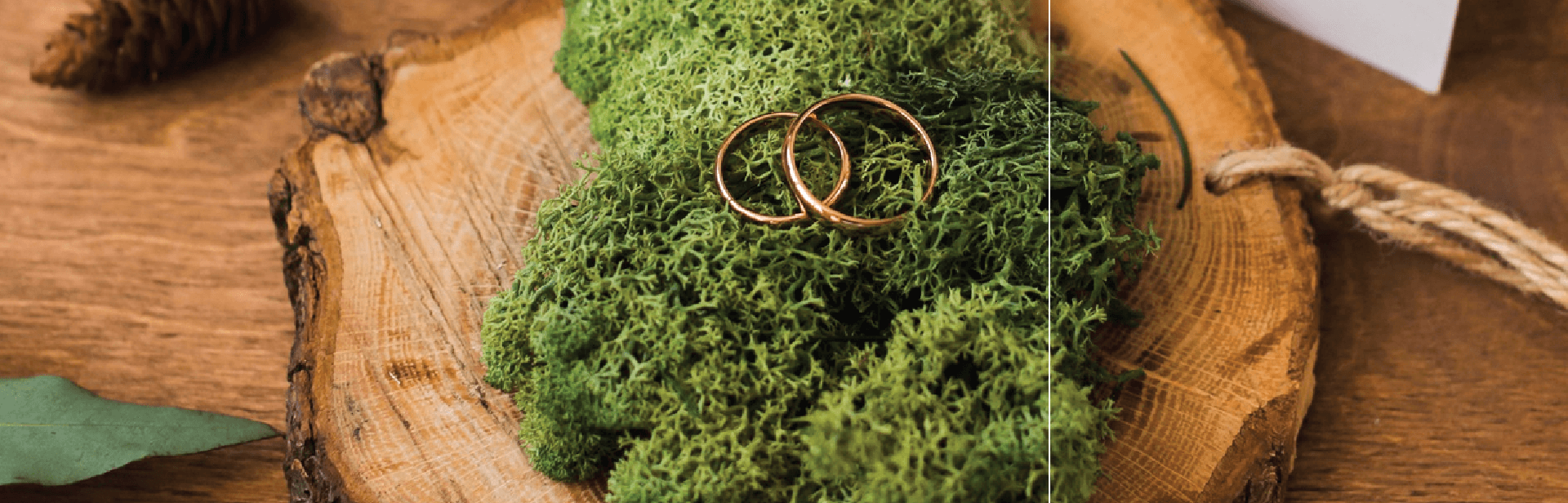 Green Weddings in India: Sustainable Trends and Cost-Saving Tips