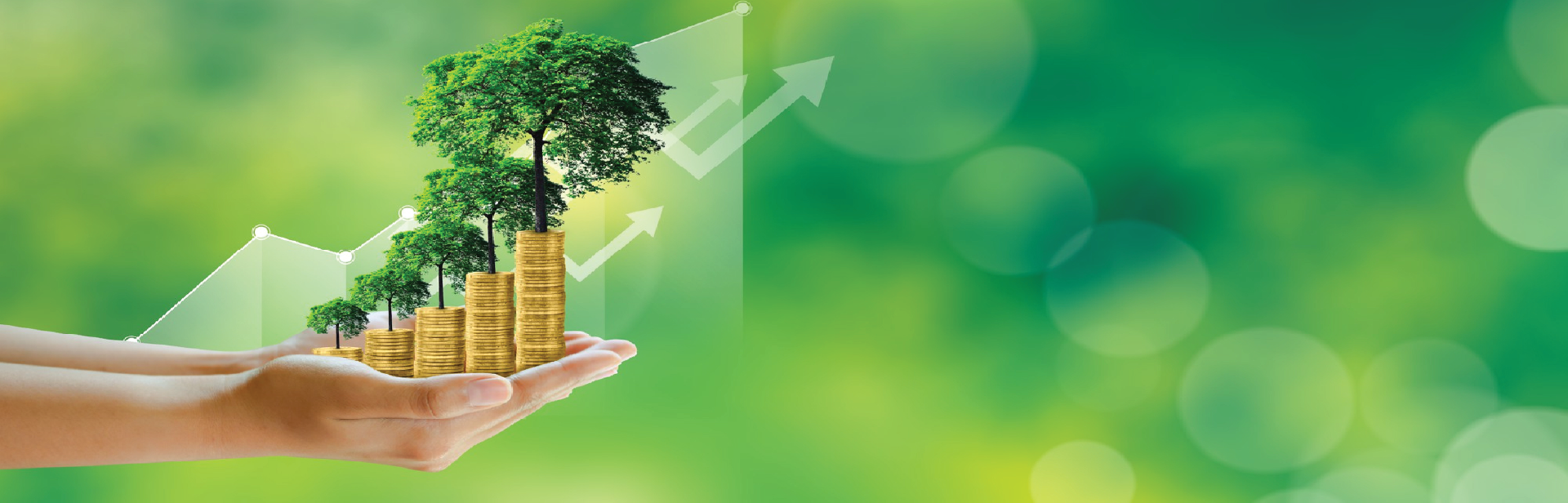 India’s Green Rush: The Top 5 Sectors Catching Investor Attention