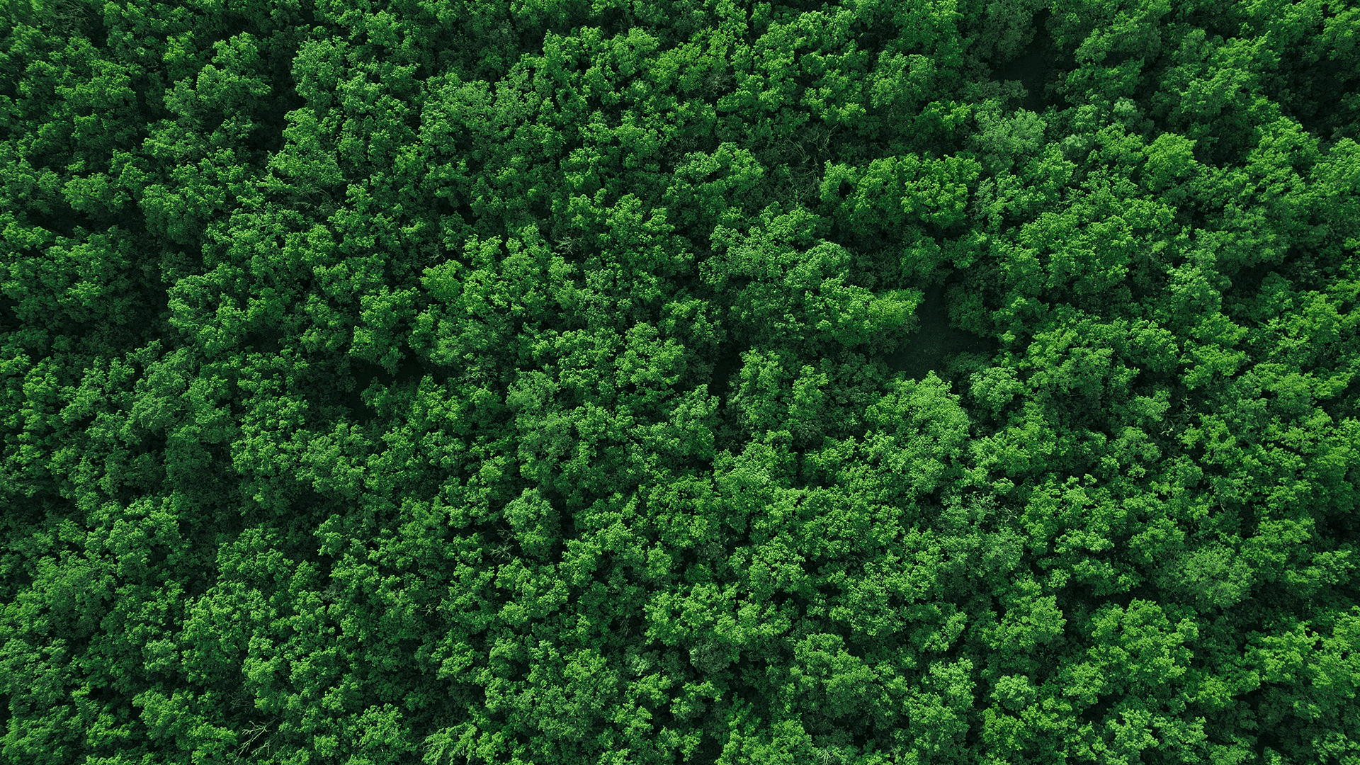 India’s first green-only NBFC. Because green choices deserve better finance
